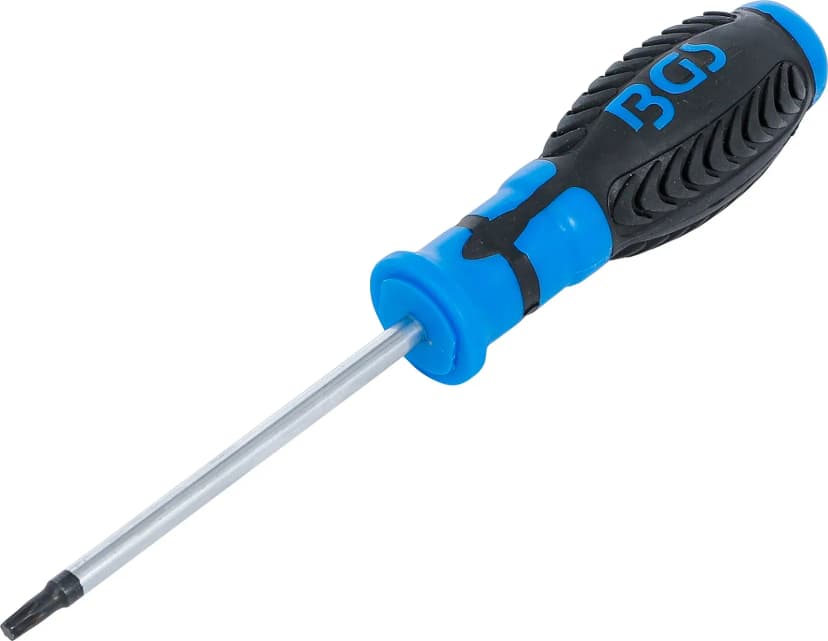 Izvijač, T-profil (za Torx) T25, dolžina rezila 100 mm