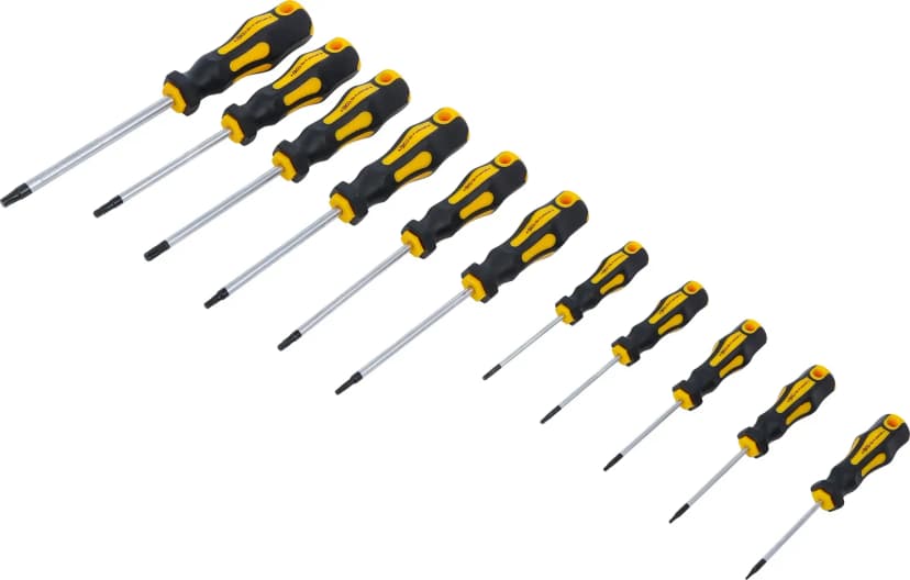 Set izvijačev, T-profil (za Torx) T6 - T40, 11-delni