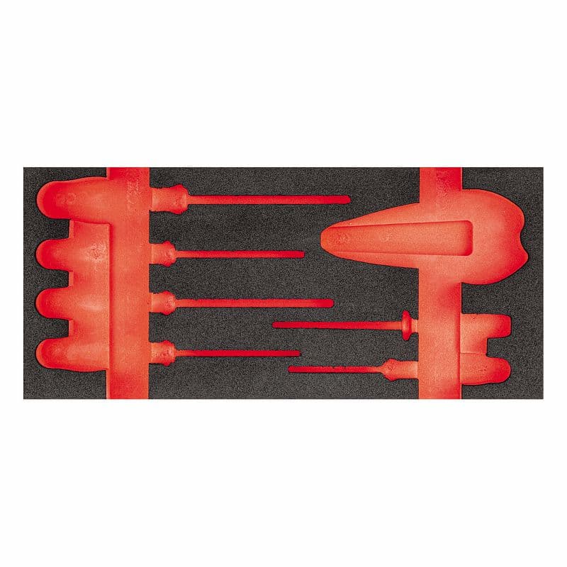 Prazen modul iz dvobarvne pene USAG 519 M 091BV